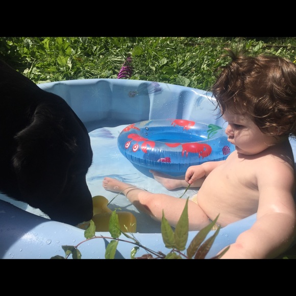 Meet your Posher, Tasha - Picture 3 of 8